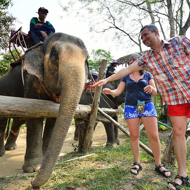 Semplice Phuket Khaosok discovery Elephant