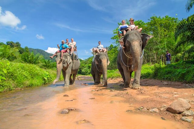 surin island and khao sok lake 3 day 2 night khao sok lake elephant trekking at khao sok