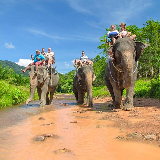 surin island and khao sok lake 3 day 2 night khao sok lake elephant trekking at khao sok