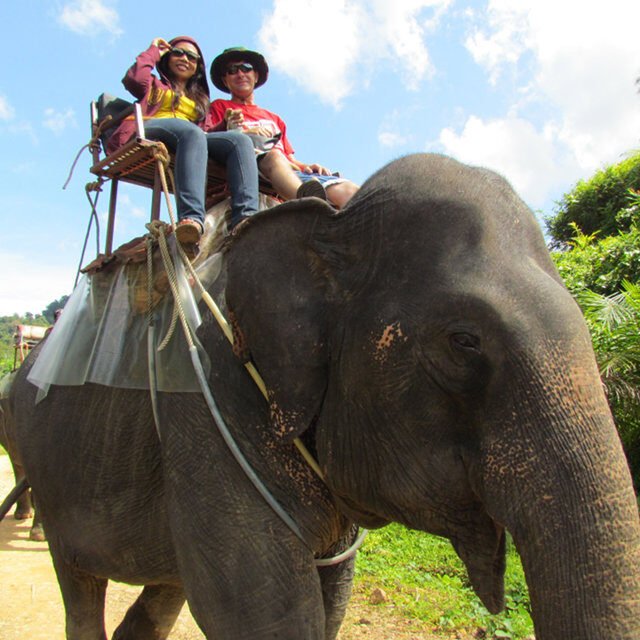 surin island and khao sok lake 3 day 2 night khao sok lake enjoy elephant trekking
