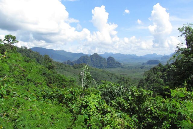 surin island and khao sok lake 3 day 2 night khao sok lake view point