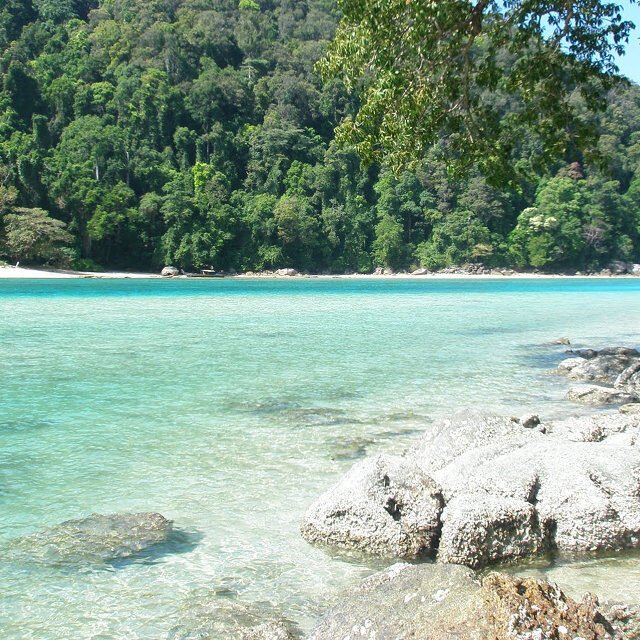 surin island and khao sok lake 3 day 2 night surin island 4