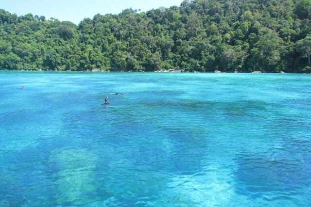 surin island and khao sok lake 3 day 2 night surin island