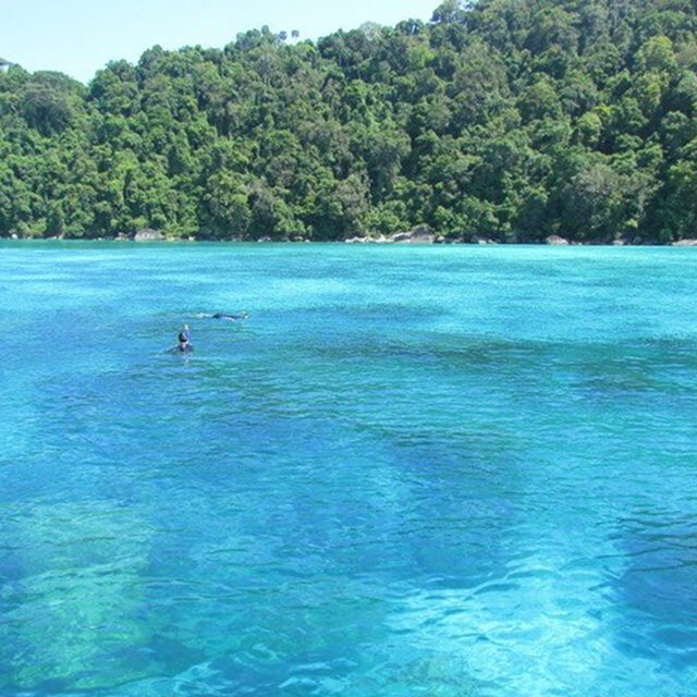 surin island and khao sok lake 3 day 2 night surin island