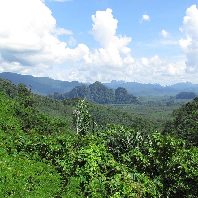 surin island and khao sok 2 day 1 night khao sok lake view point