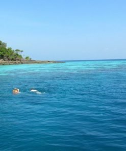 surin similan islands 2 day 1 night see view