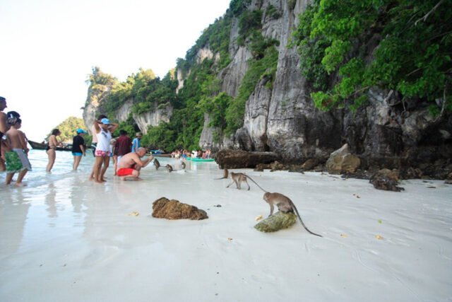 Phi Phi Sun Rise Premium Phi Phi Morning Monkey Beach