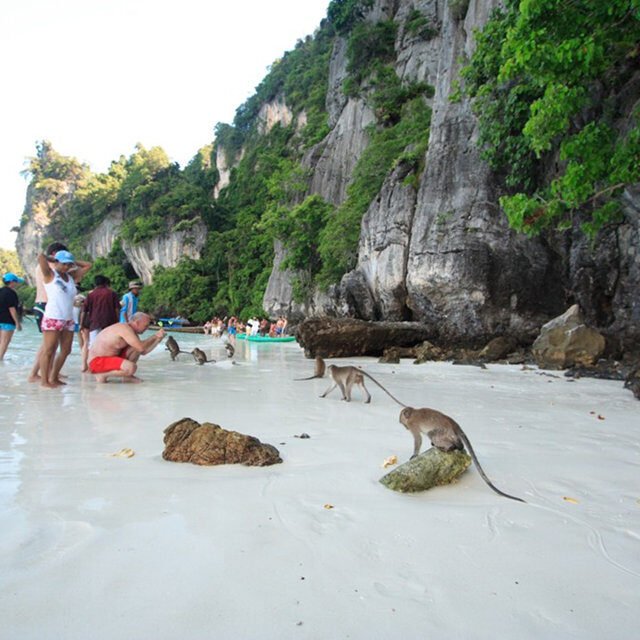 Phi Phi Sun Rise Premium Phi Phi Morning Monkey Beach
