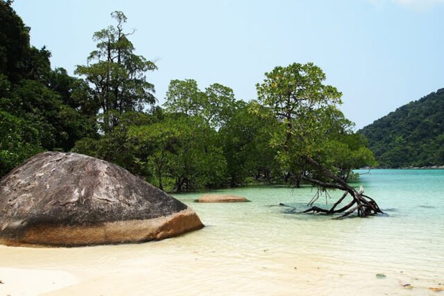 Surin Islands 2 Day 1 Night-By Tent Mai Ngam Beach