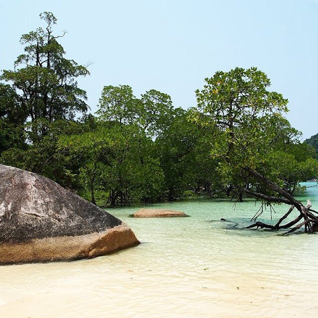 Surin Islands 2 Day 1 Night-By Tent Mai Ngam Beach
