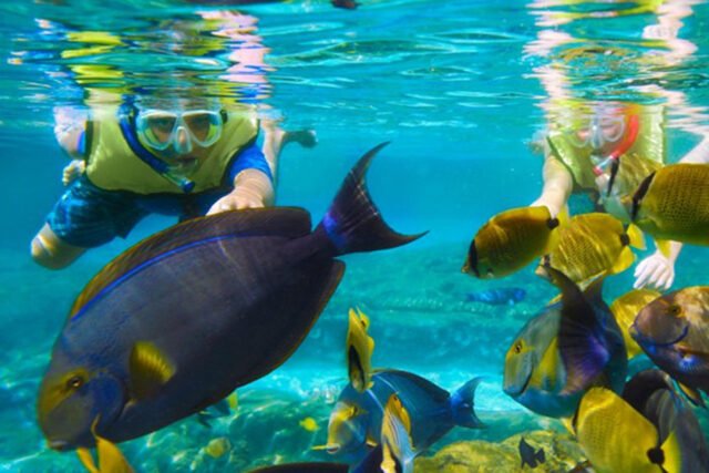 Surin Islands 2 Day 1 Night By Tent Snorkeling