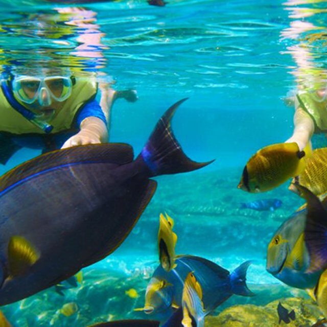 Surin Islands 2 Day 1 Night By Tent Snorkeling