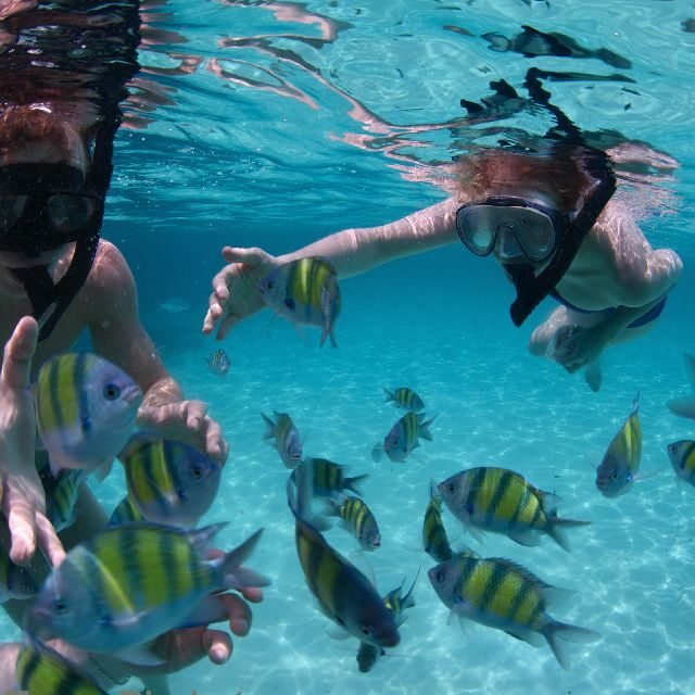 Package Phuket 3 Days 2 Nights Amari Hotel Phuket Phi Phi Islands Quality