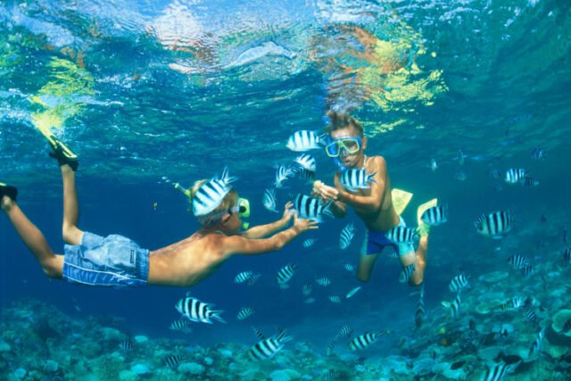 Phi Phi Island Tour