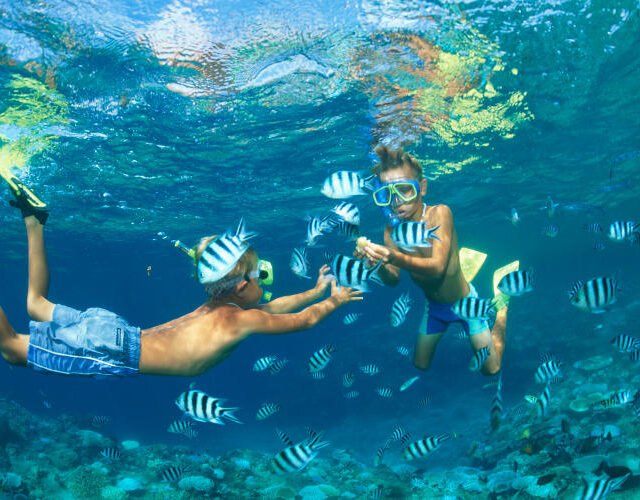 Phi Phi Island Tour