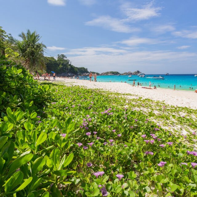 Similan-Island-Quality-Day-Tour-3