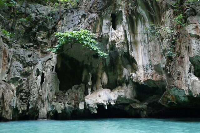 John Gray's Sea Canoe - Bioluminescent Plankton Tour Phuket - Image 6