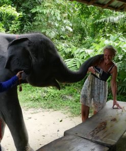 Semplice Phuket Khao Lak Safari Elephant Care2