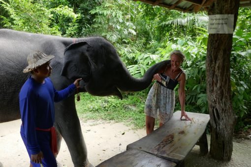 Semplice Phuket Khao Lak Safari Elephant Care2