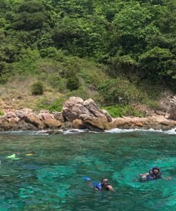 Semplice Phi Phi Island snorkeling