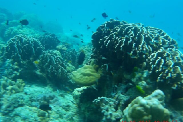 Raya Noi Island