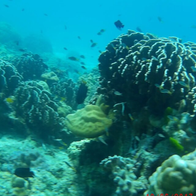 Raya Noi Island