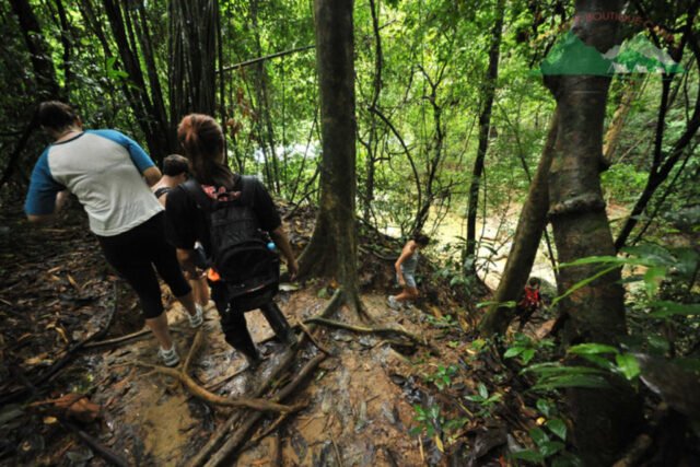 Khao Sok Jungle 2 Days 1 Night. - Image 14