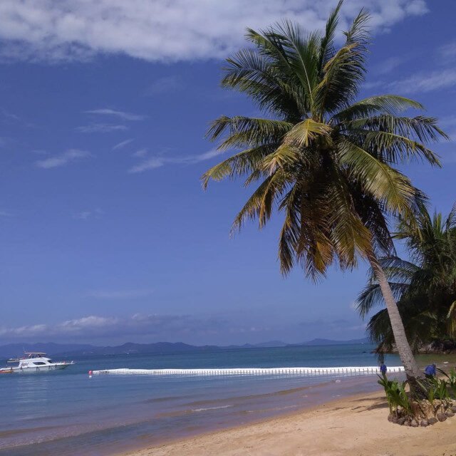 Coco Beach One Day Tour Beach area