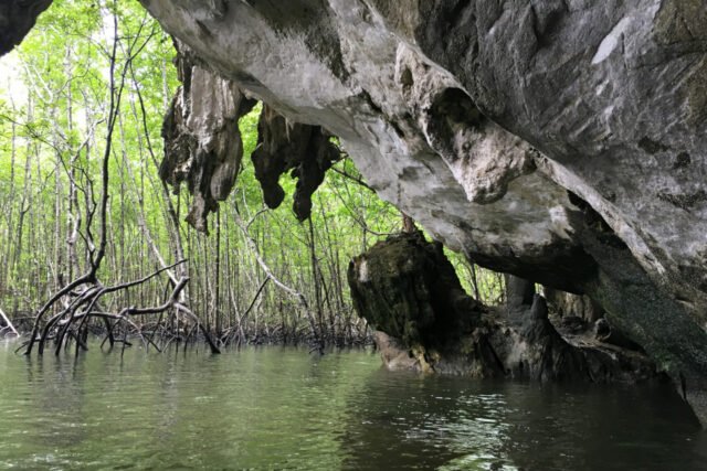 James-Bond-and-Beyond-Tour-Premium-Mangrove