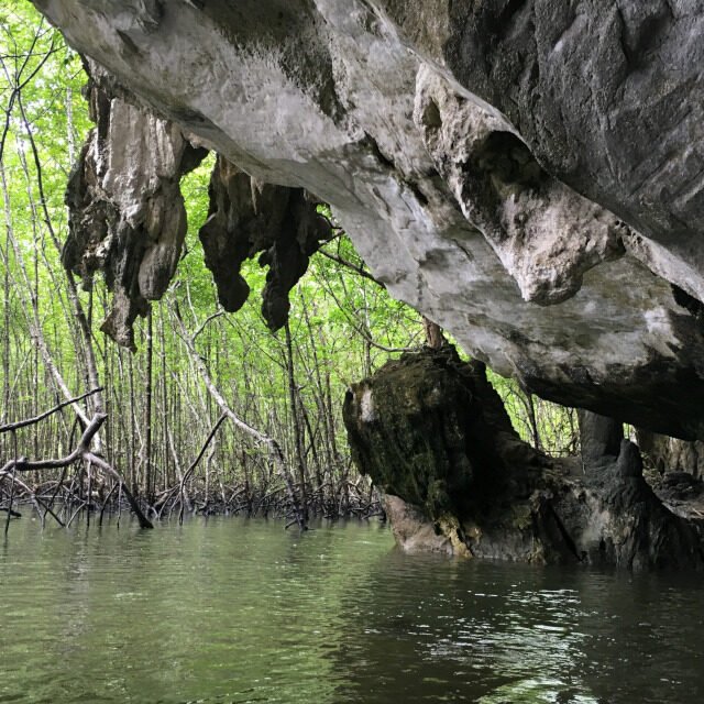 James-Bond-and-Beyond-Tour-Premium-Mangrove
