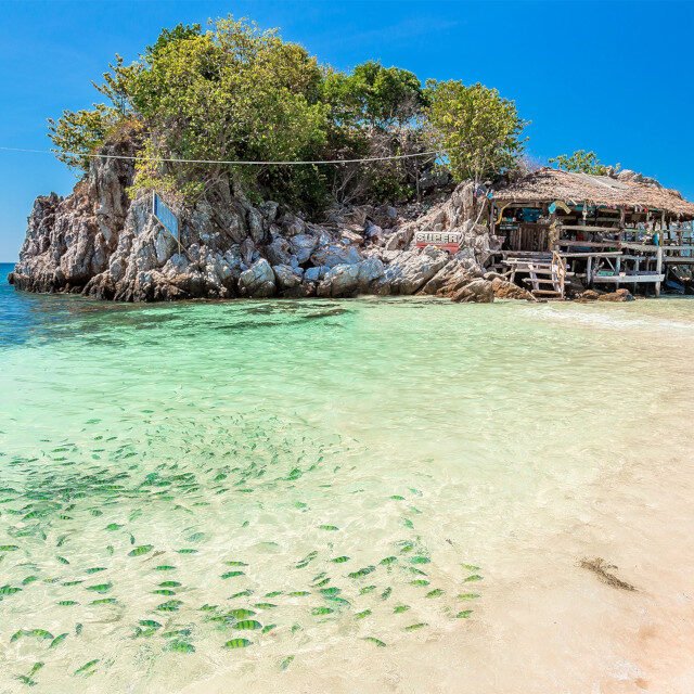 Phi Phi Island Quality from Khao Lak Khai Nok Island