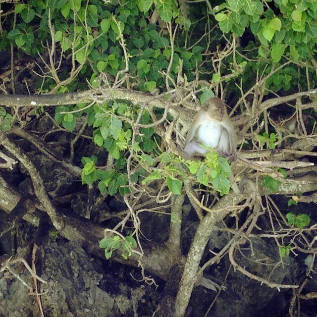 Phi Phi Island Quality from Khao Lak Monkey Beach