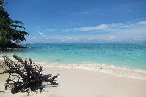 Phi-Phi-Islands-Premium-Tour-X-large-Bamboo