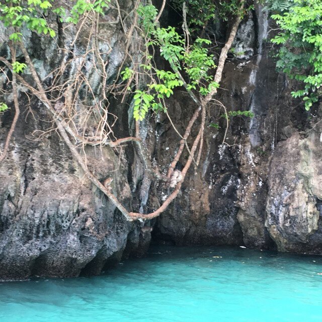 Phi-Phi-Islands-Premium-Tour-X-large-Monkey-Beach1