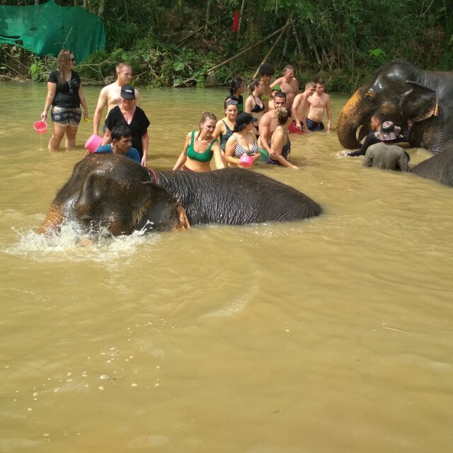 Elephant-Sanctuary-Half-Day-Afternoon-Visit-2.