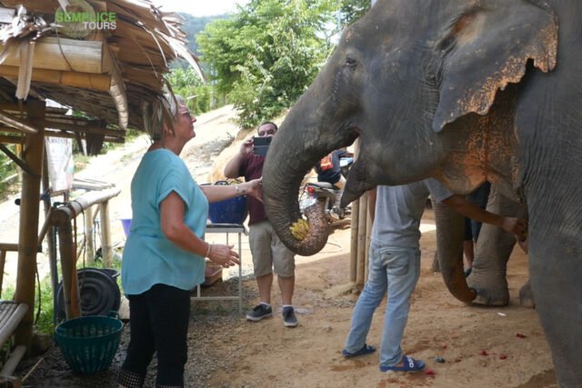 Elephant-Sanctuary-Half-Day-Afternoon-Visit-4.