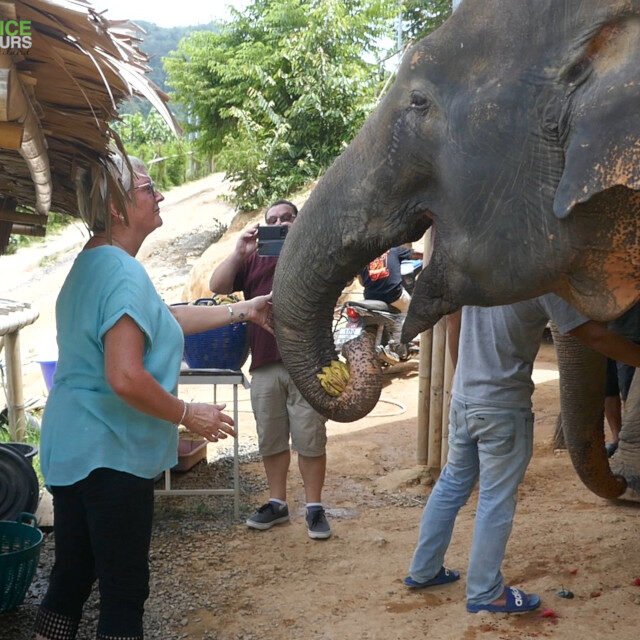 Elephant-Sanctuary-Half-Day-Afternoon-Visit-4.