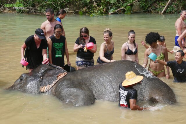 Elephant-Sanctuary-Half-Day-Afternoon-Visit-7