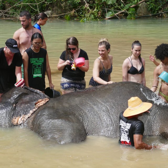 Elephant-Sanctuary-Half-Day-Afternoon-Visit-7