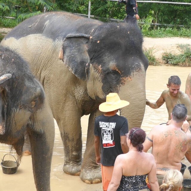 Elephant-Sanctuary-Half-Day-Morning-Visit-7