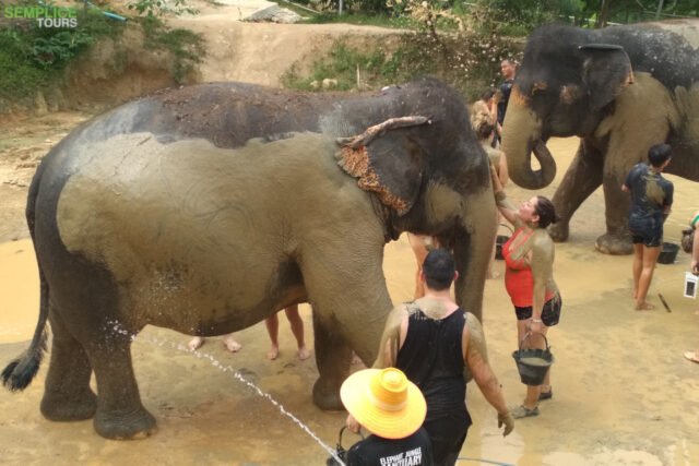 Elephant-Sanctuary-Half-Day-Morning-Visit2