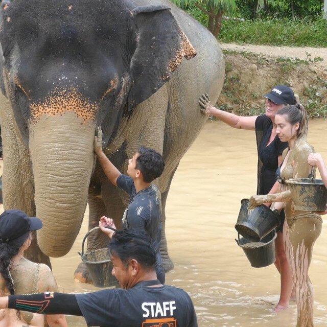 Elephant-Sanctuary-One-Day-Walk-Visit-7.