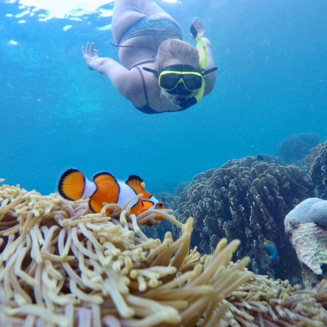 Semplice-Phuket-Phi-Phi-Maya-Bamboo-Maiton-Island-day-Tour-by-speed-Catamaran11