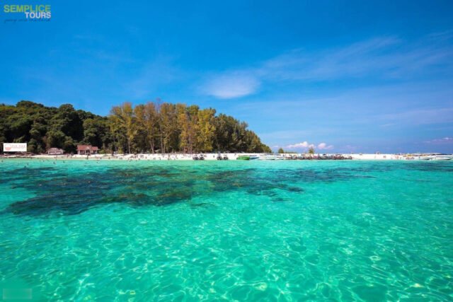 Semplice-Phuket-Phi-Phi-Maya-Bamboo-Maiton-Island-day-Tour-by-speed-Catamaran13
