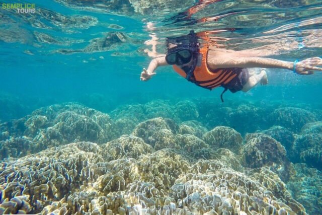Semplice-Phuket-Phi-Phi-Maya-Bamboo-Maiton-Island-day-Tour-by-speed-Catamaran14