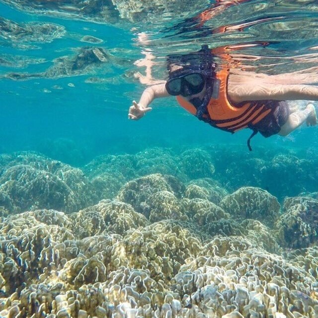 Semplice-Phuket-Phi-Phi-Maya-Bamboo-Maiton-Island-day-Tour-by-speed-Catamaran14