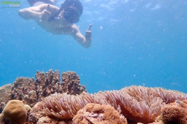 Semplice-Phuket-Phi-Phi-Maya-Bamboo-Maiton-Island-day-Tour-by-speed-Catamaran1