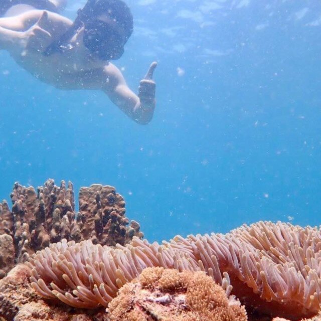 Semplice-Phuket-Phi-Phi-Maya-Bamboo-Maiton-Island-day-Tour-by-speed-Catamaran1