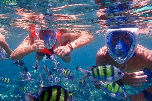 Semplice-Phuket-Phi-Phi-Maya-Khai-Island-Tour-by-speed-Catamaran12