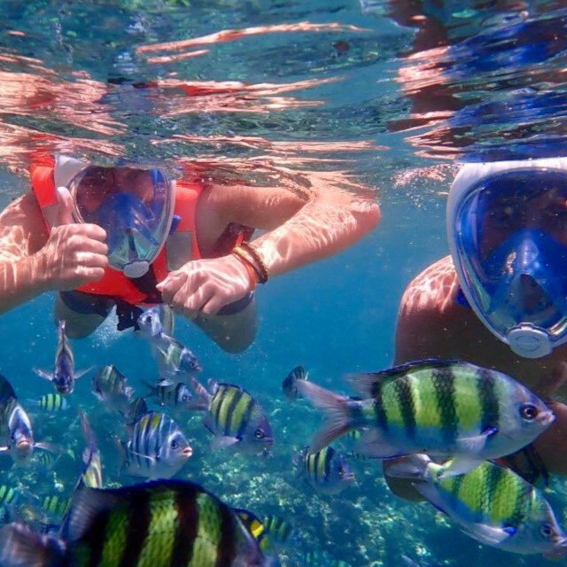 Semplice-Phuket-Phi-Phi-Maya-Khai-Island-Tour-by-speed-Catamaran12
